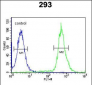 TAMM41 Antibody (Center)